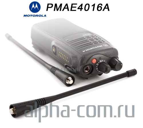 Motorola PMAE4016 Антенна портативная - интернет-магазин оборудования для радиосвязи Альфа-Ком город Москва